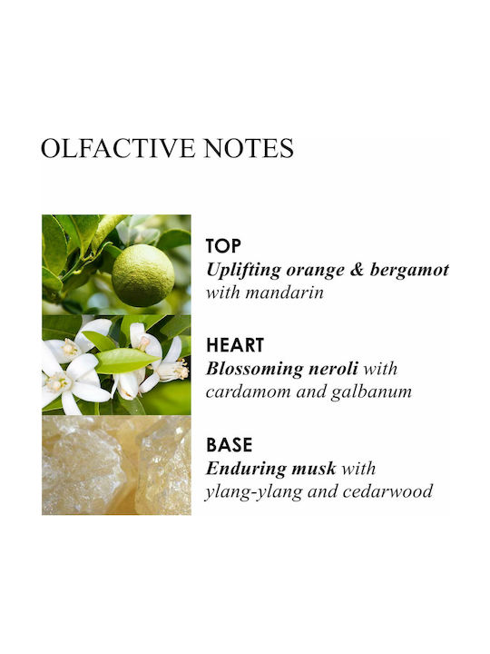 Molton Brown Diffuser με Άρωμα Orange & Bergamot Aroma Reeds DIF012VHR 150ml