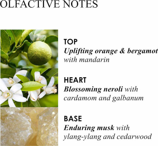 Molton Brown Diffuser mit Duft Orange & Bergamotte Aroma Schilf DIF012VHR 150ml