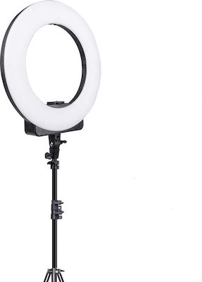 Ring Light Ring Lamp Light LED USB 33cm 3000-6000K με Τρίποδο Δαπέδου και Βάση για Κινητό