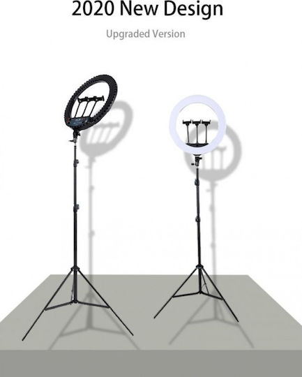Ring Lamp Light LED USB Ring Light 33cm 3000 - 6000K with Floor Tripod and Mobile Phone Holder