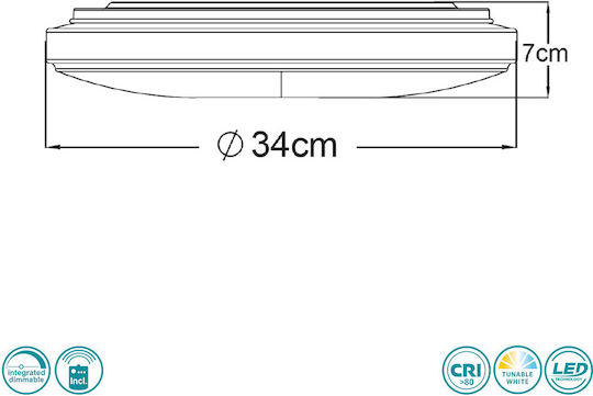 Trio Lighting Castor Rundes Draußen LED-Panels 25W mit Kaltweißem Licht 6500K 34cm