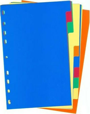 Skag Plastic Dividers for Documents B5 with Holes 10pcs 17x25cm