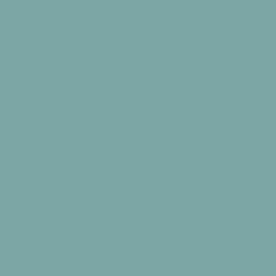 Flame Paint Spray Vopsea Flame Orange cu Matt E...