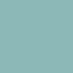 Flame Paint Spray Vopsea Flame Orange cu Matt E...