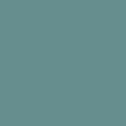 Flame Paint Spray Vopsea Flame Orange cu Matt E...