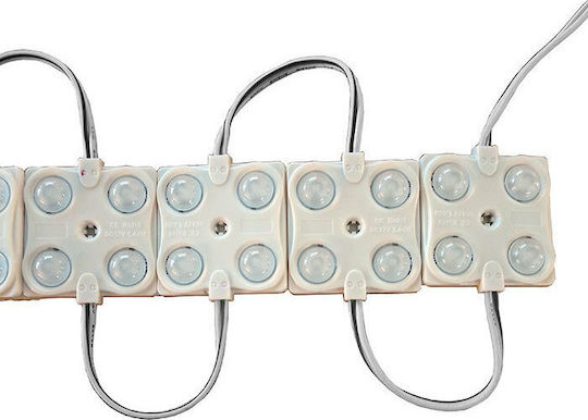 V-TAC LED Module Cool White 12V 1.44W (5130)