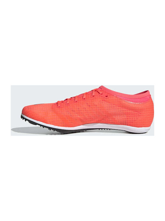 Adizero Ambition Sport Shoes Spikes Signal Pink / Core Black / Copper Metallic / Coral