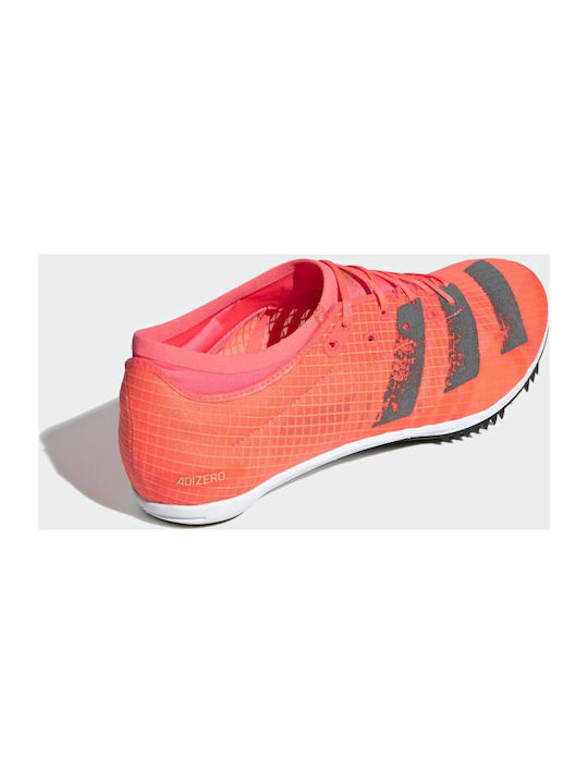 Adizero Ambition Sport Shoes Spikes Signal Pink / Core Black / Copper Metallic / Coral
