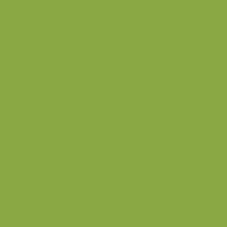 Flame Paint Spray Vopsea Flame Orange cu Matt E...
