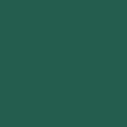 Flame Paint Spray Vopsea Flame Orange cu Matt E...