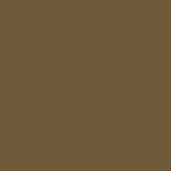 Flame Paint Spray Vopsea Flame Orange cu Matt E...