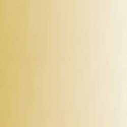 Flame Paint Spray Vopsea Flame Orange cu Matt E...