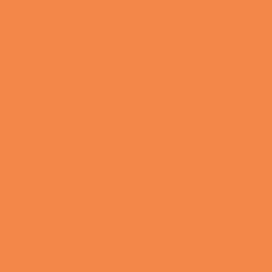 Flame Paint Spray Vopsea Flame Orange cu Matt E...