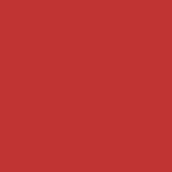 Flame Paint Spray Vopsea Flame Orange cu Matt E...