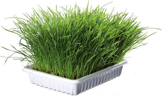 Trixie Soft Grass Γρασίδι για Γαστρεντερικές Διαταραχές 100gr