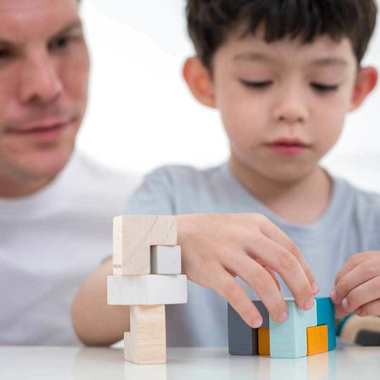 Wooden Kids Puzzle 3D Mini Cube 9pcs Plan Toys