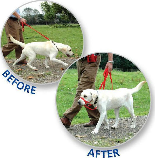 Halti Dog Muzzle Training Black 40-54cm