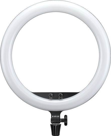 Godox LR150B Ring Light 45cm 3000 - 6000K with Mobile Phone Holder