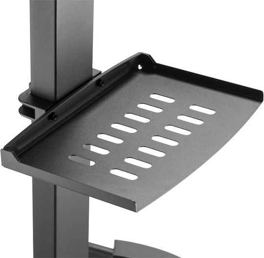 LTC Audio TV Cart Suport TV Etaj până la 55" și 35kg