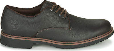 stormbucks pt oxford