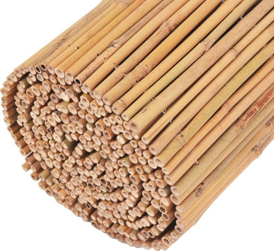 vidaXL Bambuszaun Bambus mit Ganzem Holz 30x500cm