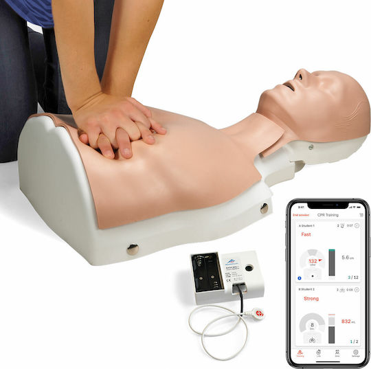 3b Scientific CPR Basic Billy Interaktives Training & CPR