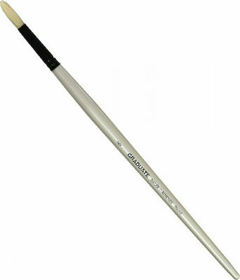 Daler Rowney Graduate Synthetic Bristle Filbert Round Paint Brush Πινέλο Χοίρου Στρογγυλό No6