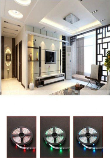 Waterproof LED Strip 220V RGB Light 5m Type SMD5050 with Remote Control