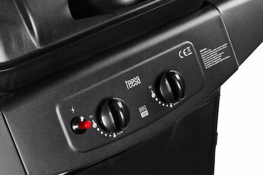 Teesa 2000 Gasgrill Rost 46cmx34cmcm mit 2 cm 5kW