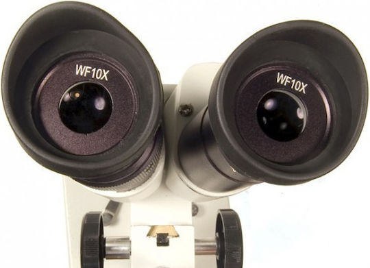 Levenhuk 2ST Stereo Educational Binocular Microscope 40x