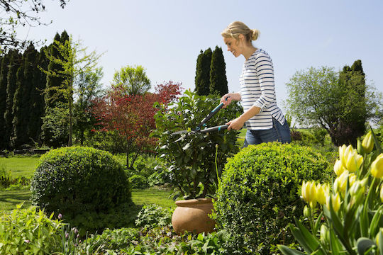 Gardena Hedge Shears Easycut 537 Shrub 12301-20