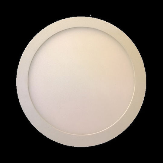Spot Light 521 Spot Light 521