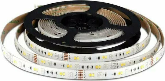 V-TAC Αδιάβροχη Ταινία LED 12V RGBW Φως 5m Τύπου SMD5050 με Τροφοδοτικό & Τηλεχειριστήριο