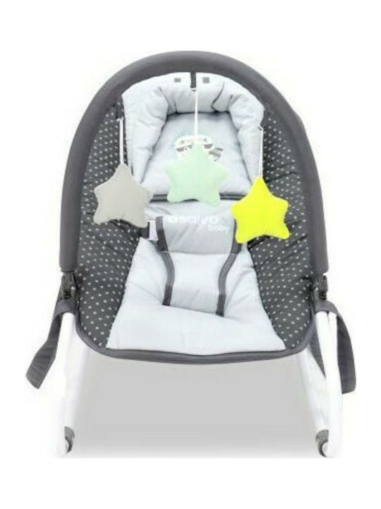 Asalvo Manual Baby Relax Baby Bouncer Raccoon for Child up to 2.6kg