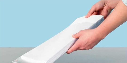 Esselte Plastic Sleeve for Documents A4 with Holes