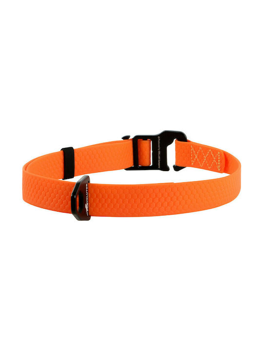 Collar Collar 25-70cm Evolutor Orange - Waterproof