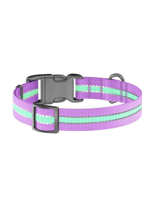 Collar Collar Waudog Collar Phosphorescent Purple 31 - 49 cm