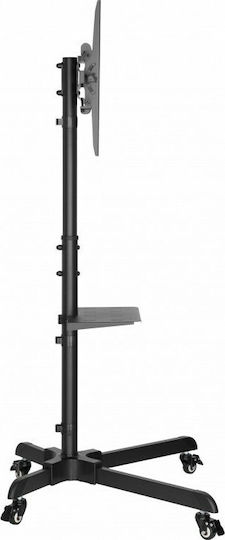 Reflecta TV Stand 55P-Shelf Δαπέδου έως 55" και 35kg
