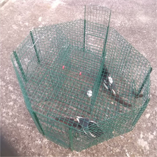 Tycoon Cage made of Metal 100x100x30cm 1pcs