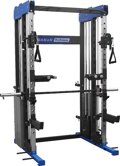 Pegasus Pro Trainer HCLT 2003 Multifunktionales Trainingsgerät mit Gewichten 120kg (2x60kg)