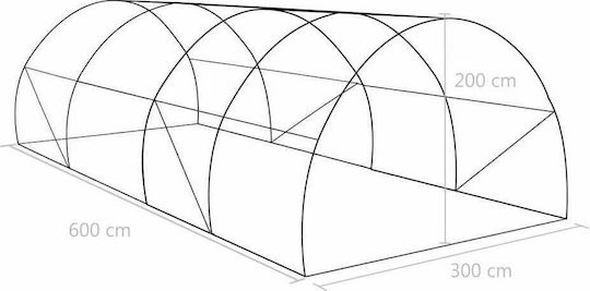 vidaXL 45536 Gewächshaus Tunnel mit Metallrahmen 6x3x2m