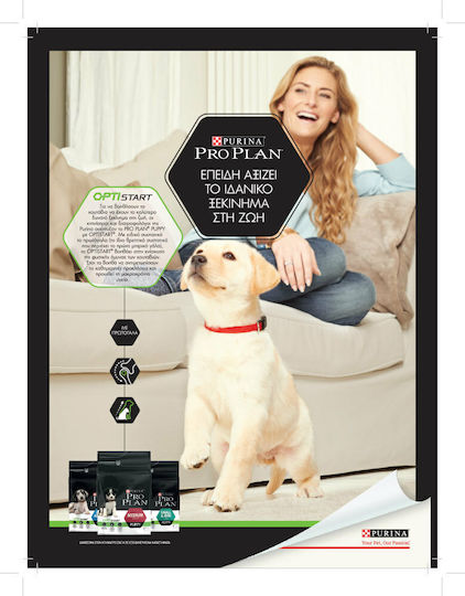 Pro Plan OptiDerma 3kg Dry Food for Medium Breed Puppies with Salmon