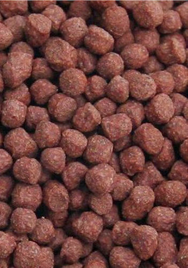 Ocean Nutrition Formula Goldfish Food Flakes 34gr