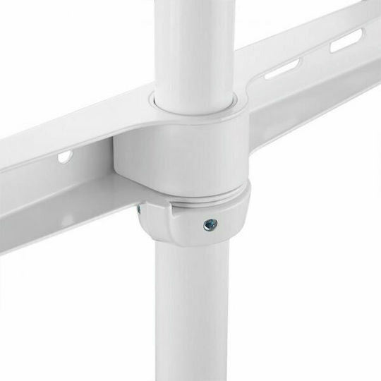 Nedis TVSM7060WT Βάση Τηλεόρασης Δαπέδου έως 65" και 35kg White