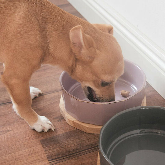 Navaris Keramik Schalen Futter & Wasser für Hund & Katze auf Basis von 500ml in Rosa Farbe 2Stück