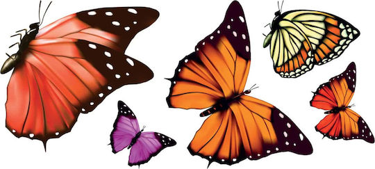 Ango Kids Vinyl Window Sticker Butterflies S 14pcs