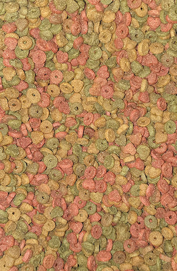Viozois Raissa Dry Food for Adult Cats with Chicken 20kg