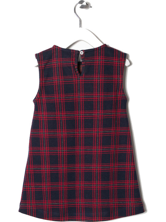 Dress Plaid Blue/Red Zippy dress