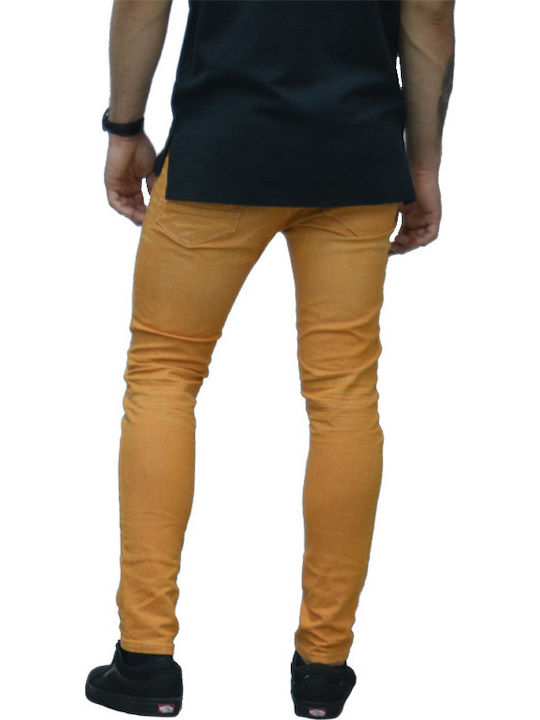 Scotch & Soda