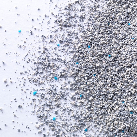 Ever Clean Extra Strong Clumping Cat Litter Bentonite With Freshness Scent 6lt